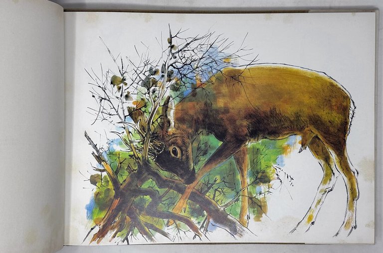 BESTIAIRE DE NOS FORETS