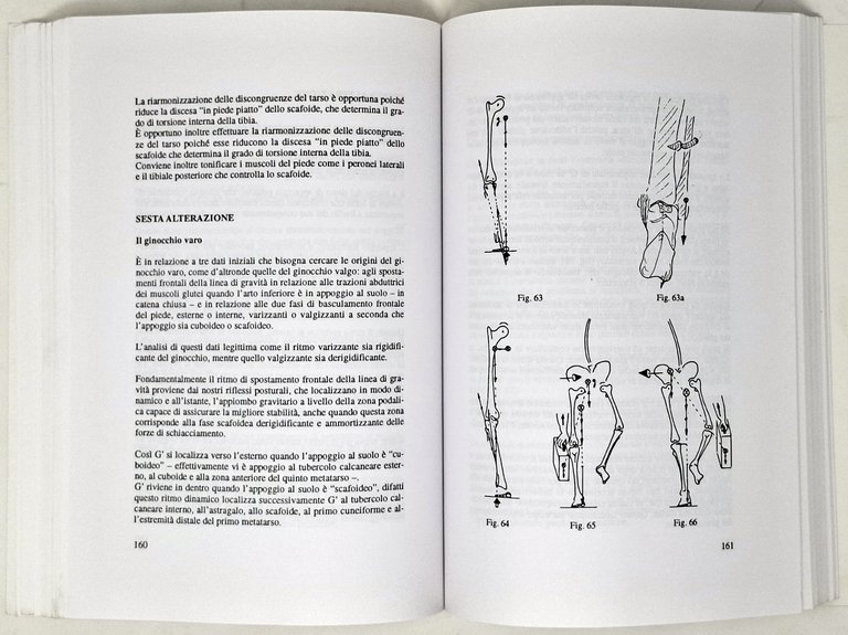 CHINESITERAPIA ANALITICA: Concetto Sohier / basi fondamentali