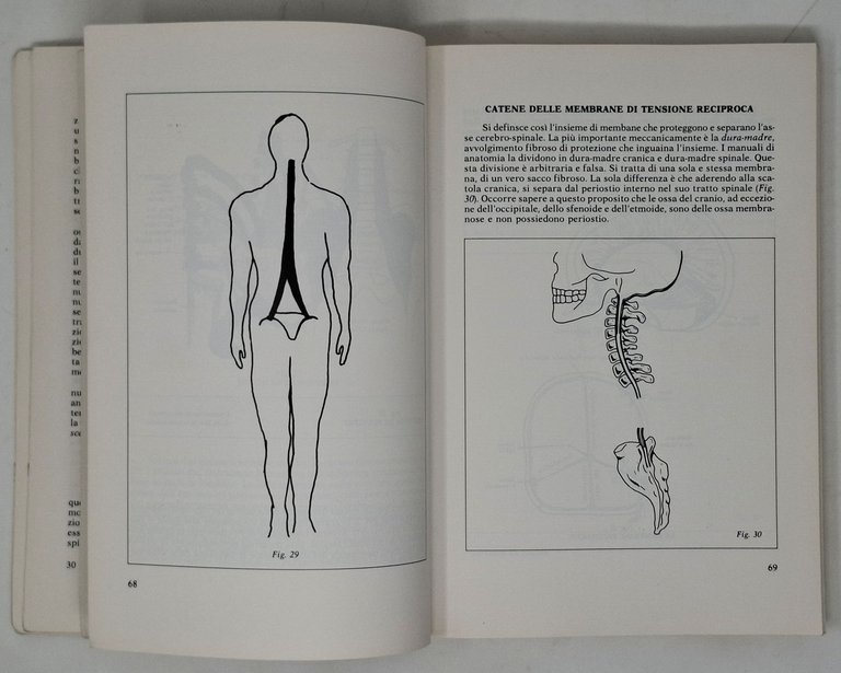 FISIOLOGIA DELLA TERAPIA MANUALE