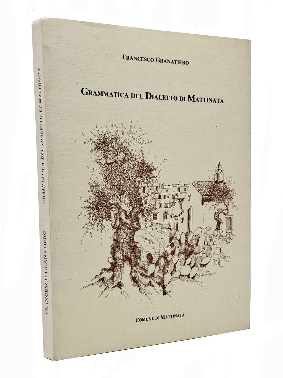 GRAMMATICA DEL DIALETTO DI MATTINATA | Immagine principale