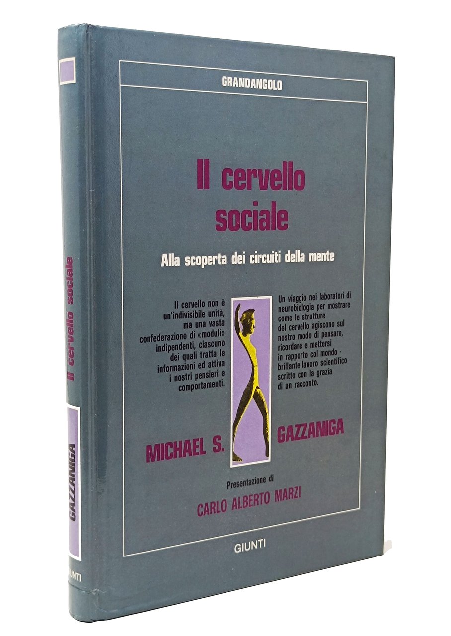 IL CERVELLO SOCIALE. Alla scoperta dei circuiti della mente