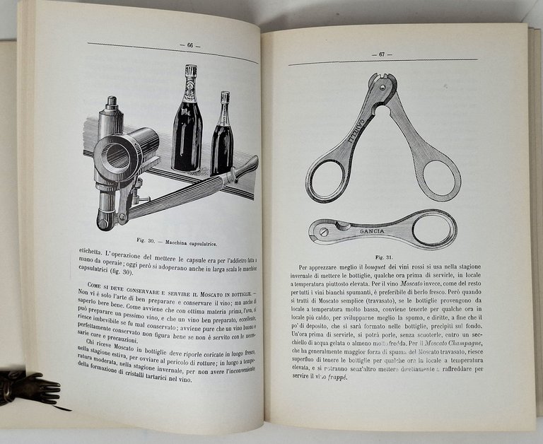 IL MOSCATO DI CANELLI | Immagine Gallery 3