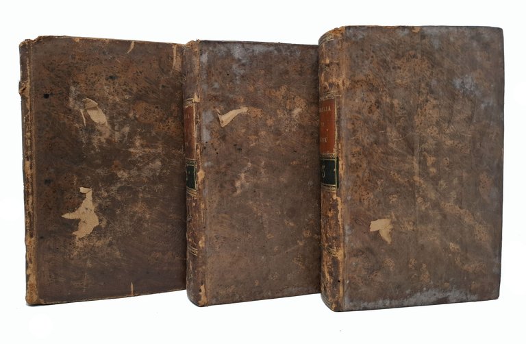 LA DIVINA COMMEDIA (volume primo - volume terzo)