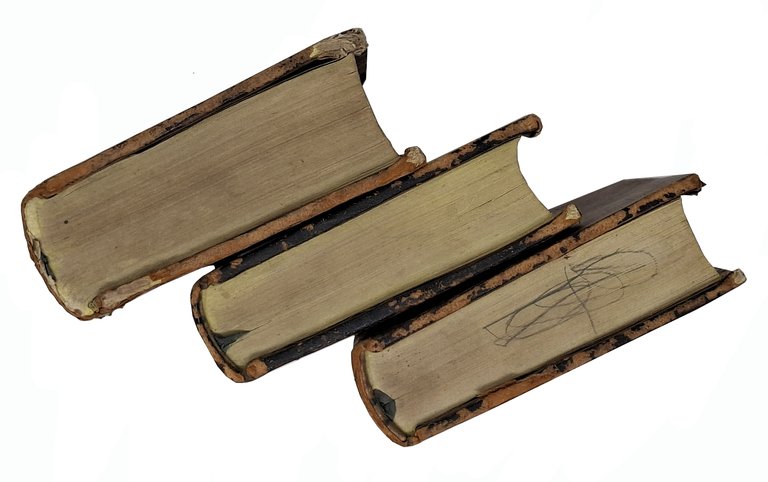 LA DIVINA COMMEDIA (volume primo - volume terzo)