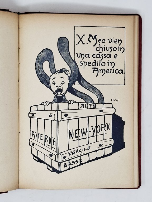 LE ORECCHIE DI MEO. Storia di quei ragazzi intelligenti che …