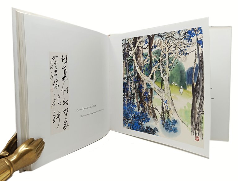 LE VOYAGE D'UN PEINTRE CHINOIS DANS LES ALPES