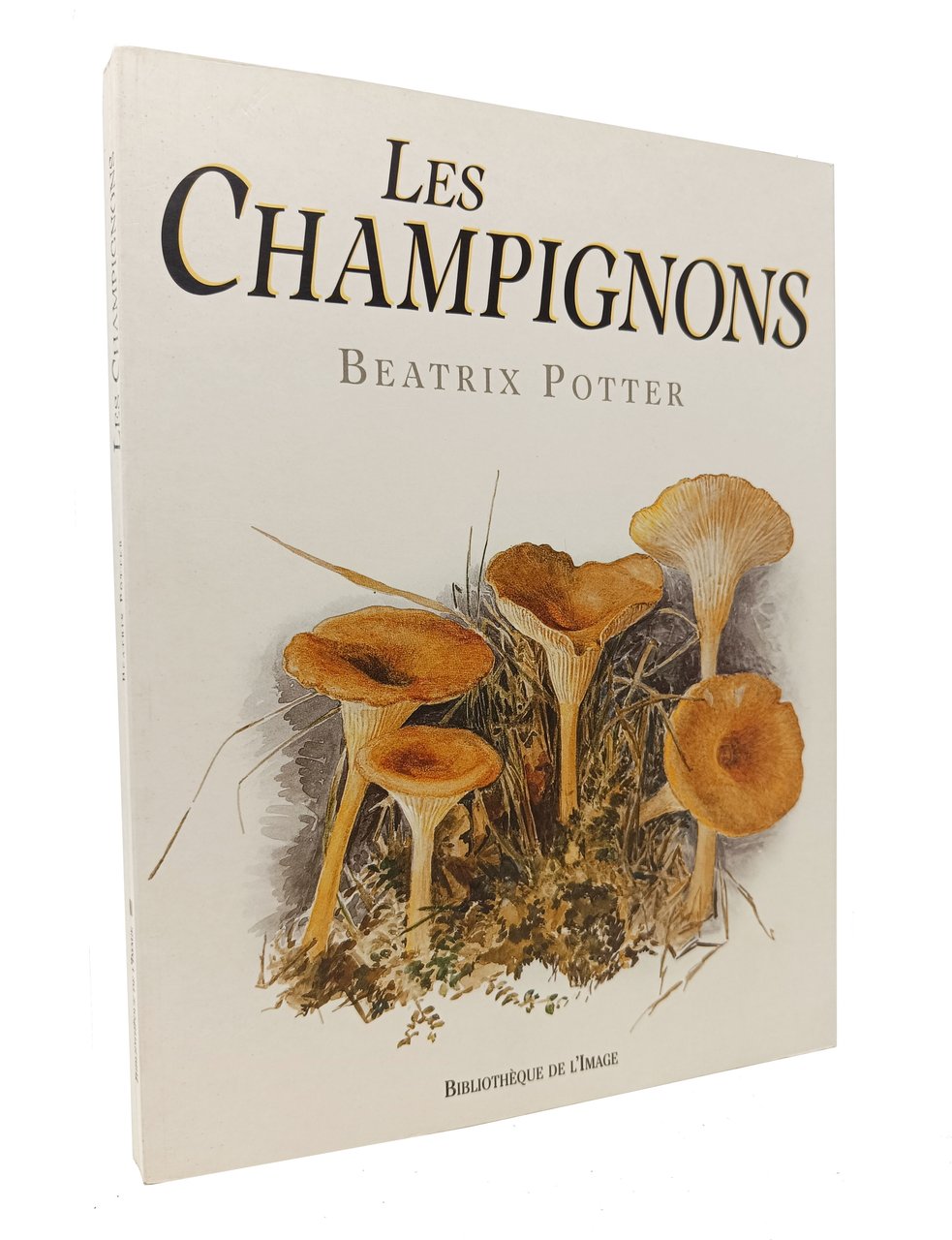 LES CHAMPIGNONS