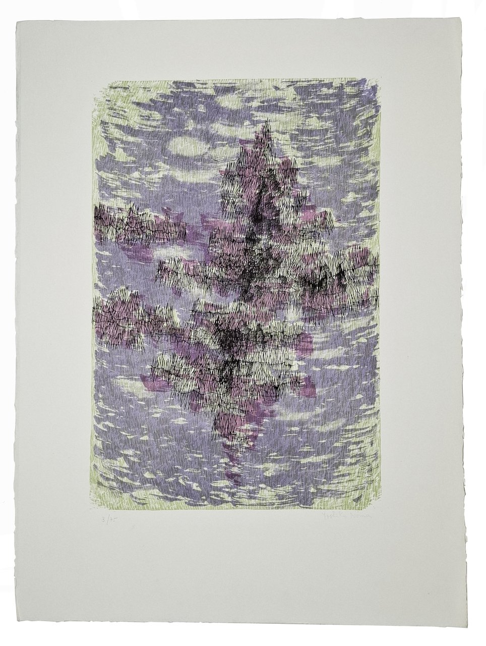 LITOGRAFIA firmata e numerata | Immagine principale