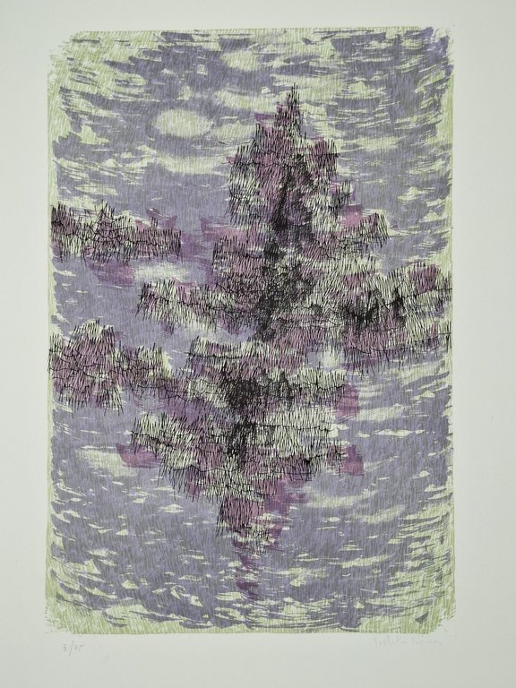 LITOGRAFIA firmata e numerata | Immagine Gallery 2