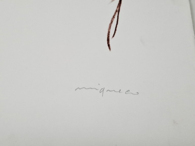 LITOGRAFIA omaggio a Picasso