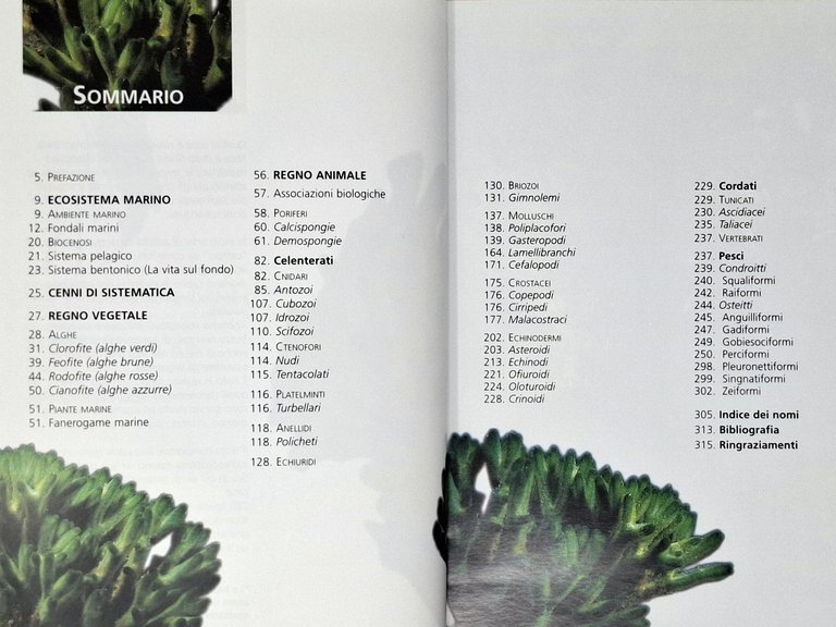 MERAVIGLIE DEL MEDITERRANEO