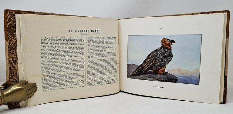 NUISIBLES ET RAPACES