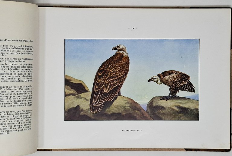 NUISIBLES ET RAPACES