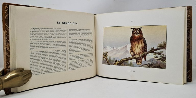 NUISIBLES ET RAPACES