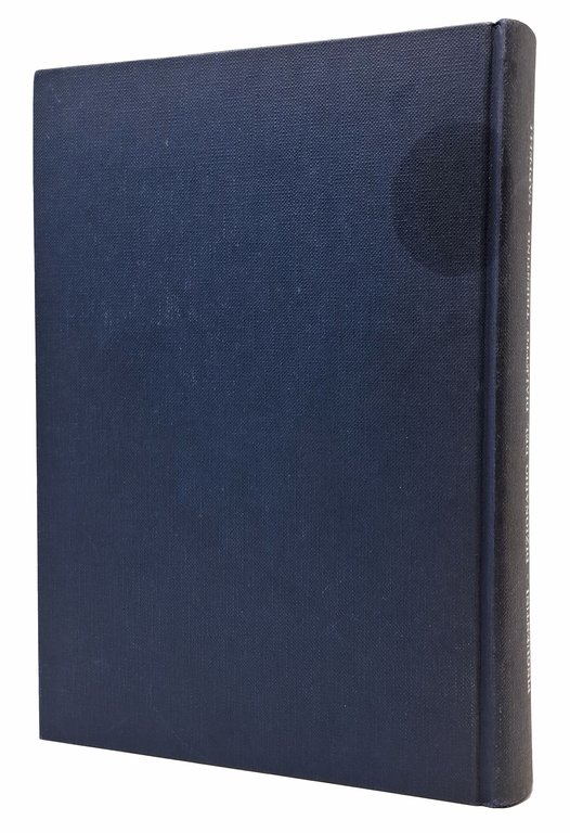 NUOVO DIZIONARIO DEL DIALETTO TRIESTINO / Storico Etimologico Fraseologico