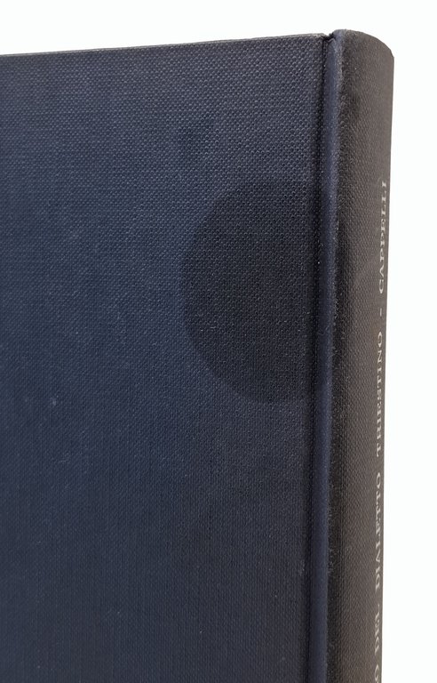 NUOVO DIZIONARIO DEL DIALETTO TRIESTINO / Storico Etimologico Fraseologico
