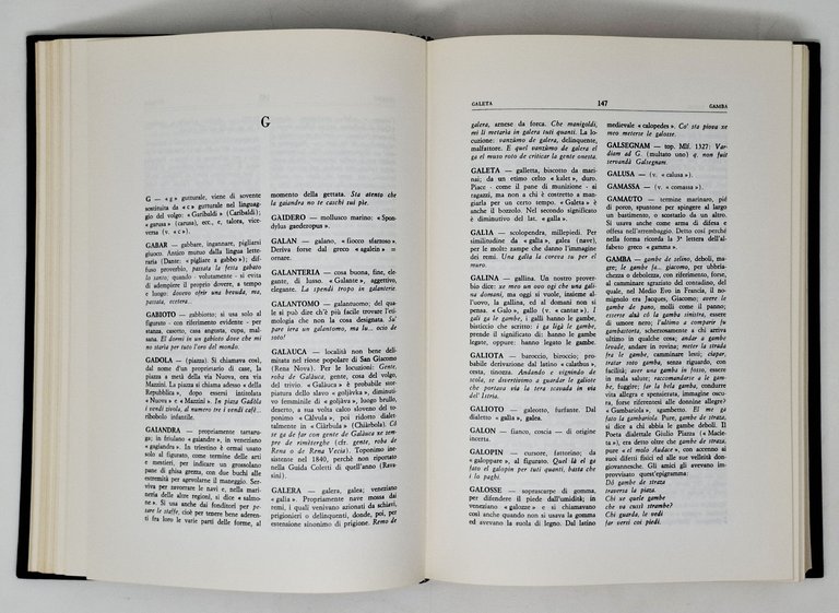 NUOVO DIZIONARIO DEL DIALETTO TRIESTINO / Storico Etimologico Fraseologico