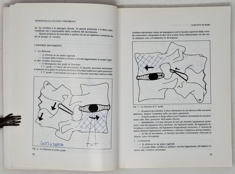 OSTEOPATIA / LA COLONNA VERTEBRALE