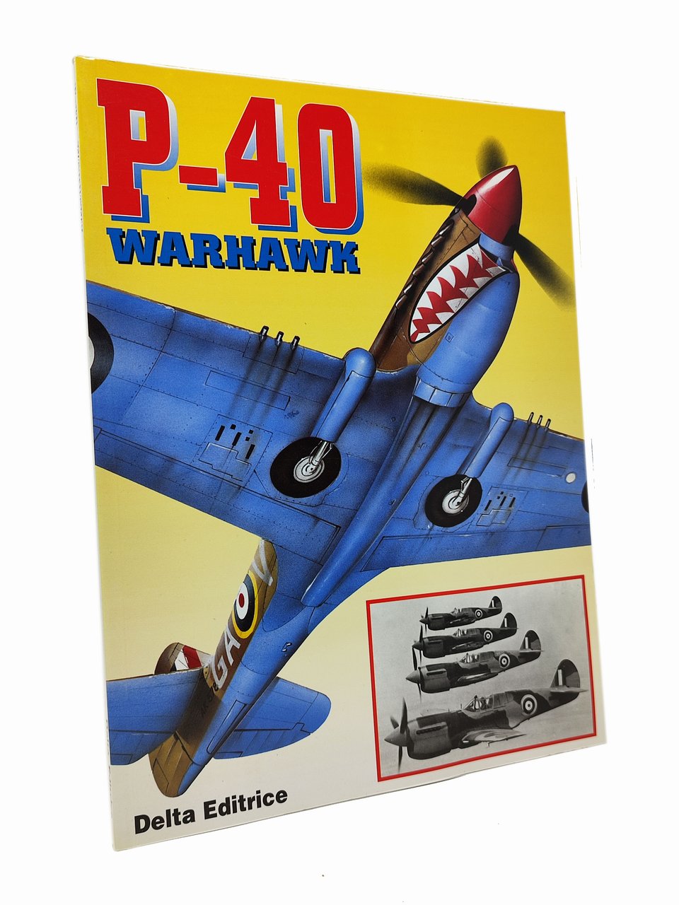 P-40 WARHAWK