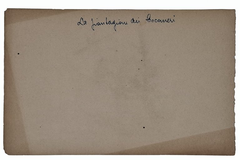 Paesaggio 'La Piantagione dei cocomeri'