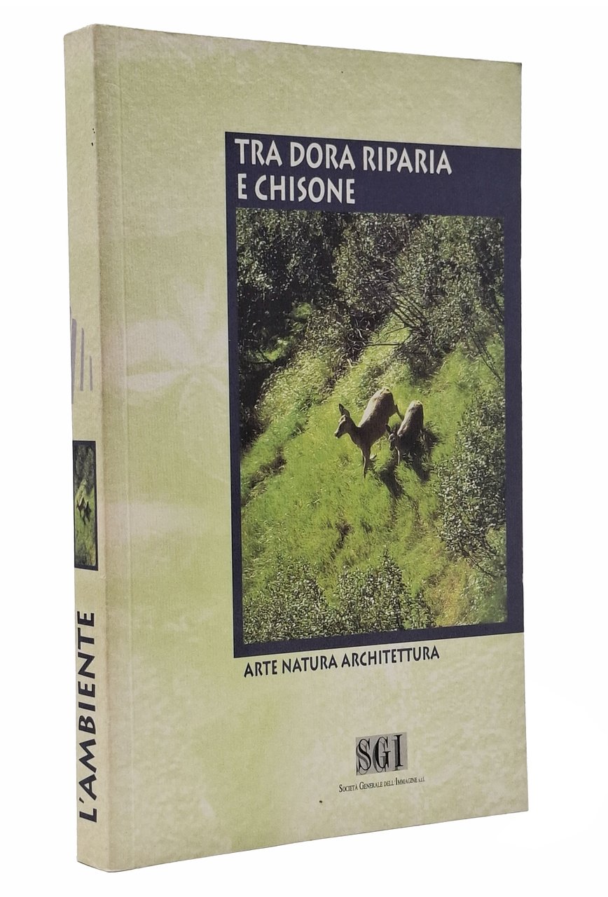 TRA DORA RIPARIA E CHISONE / Arte natura architettura | Immagine principale