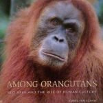 AMONG ORANGUTANS - RED APES AND THE RISE OF HUMAN …