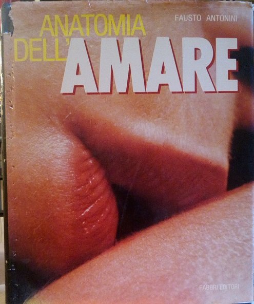 ANATOMIA DELL'AMARE