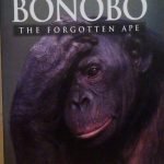 BONOBO - THE FORGOTTEN APE