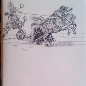 IL CIGNO