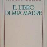 IL LIBRO DI MIA MADRE