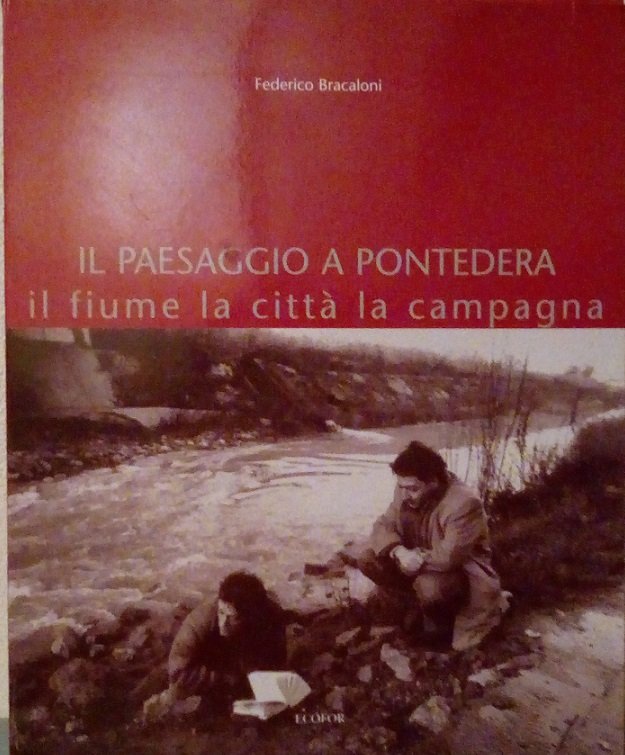 IL PAESAGGIO A PONTEDERA - IL FIUME, LA CITTA', LA …