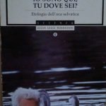 IO SONO QUI, TU DOVE SEI - ETOLOGIA DELL'OCA SELVATICA