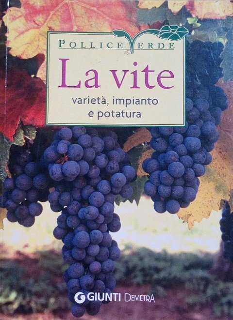 LA VITE - VARIETA', IMPIANTO, POTATURA