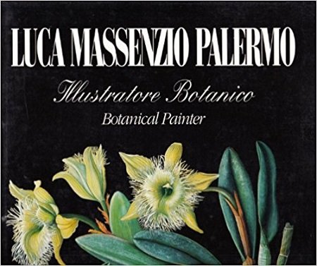 LUCA MASSENZIO PALERMO - ILLUSTRATORE BOTANICO-BOTANICAL PAINTER