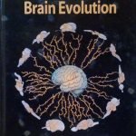 PRINCIPLES OF BRAIN EVOLUTION