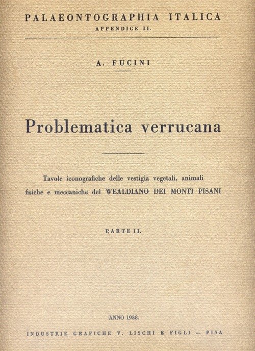 PROBLEMATICA VERRUCANA - PARTE 2