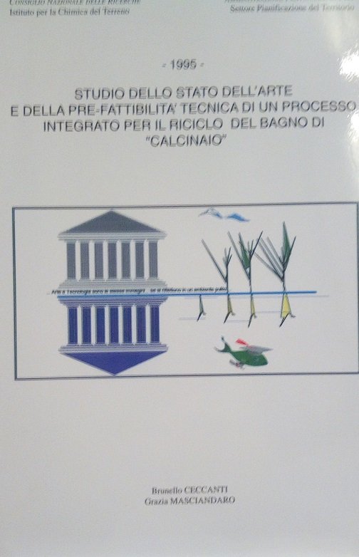 STUDIO DELLO STATO DELL'ARTE E DELLA PRE-FATTIBILITA' TECNICA DI UN …