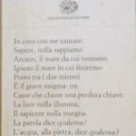 TRAFITTURE DI TENEREZZA - POESIA TRADOTTA 1963-2008