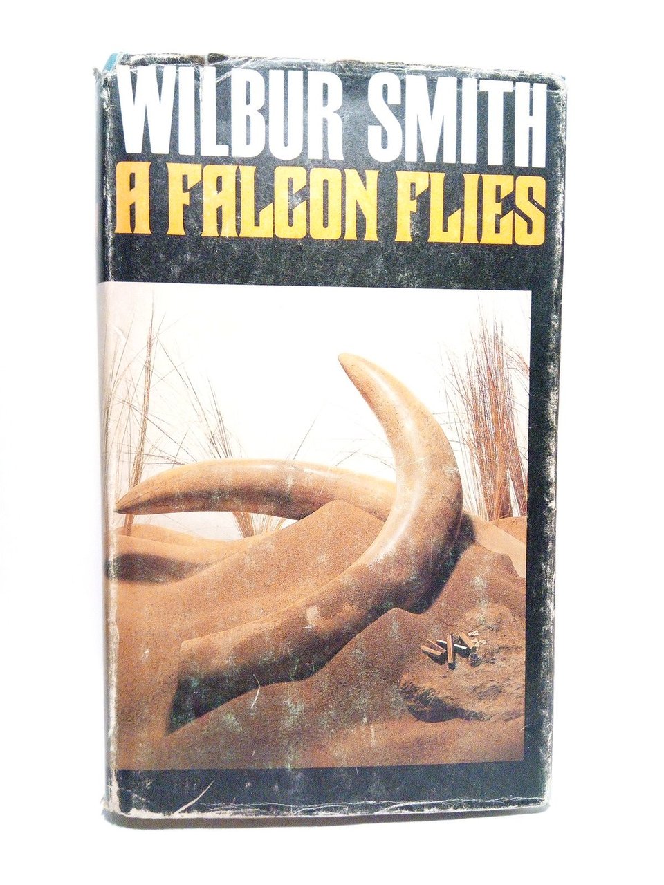 A Falcon Flies