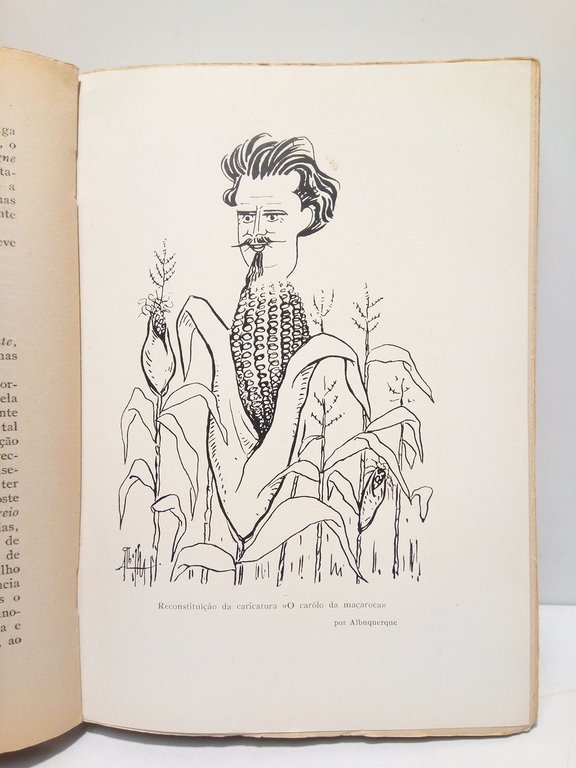 A lareira do passado: Memorias