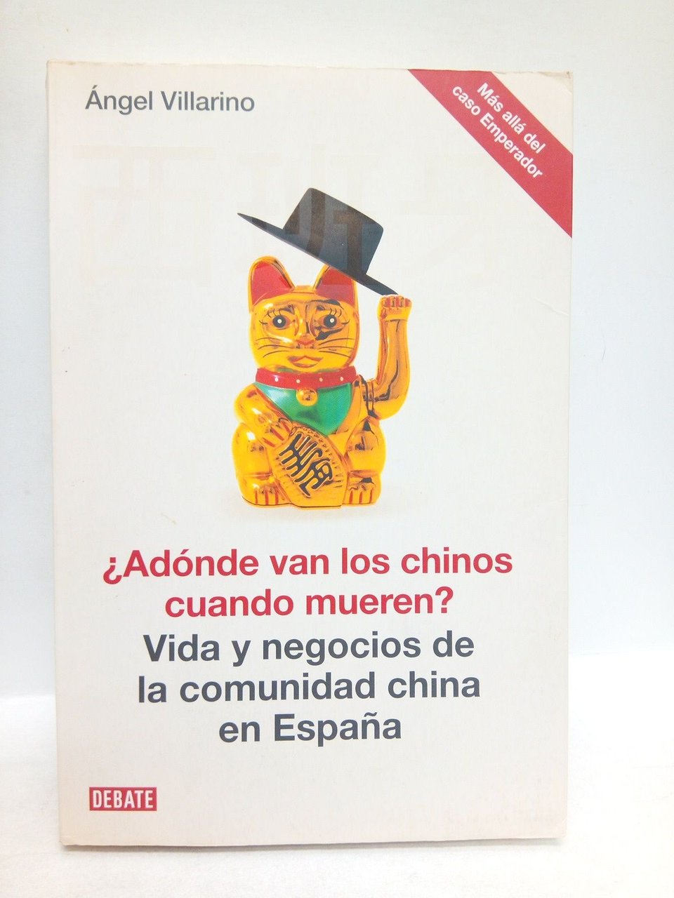 ¿ Adónde van los chinos cuando mueren ?: Vida y …