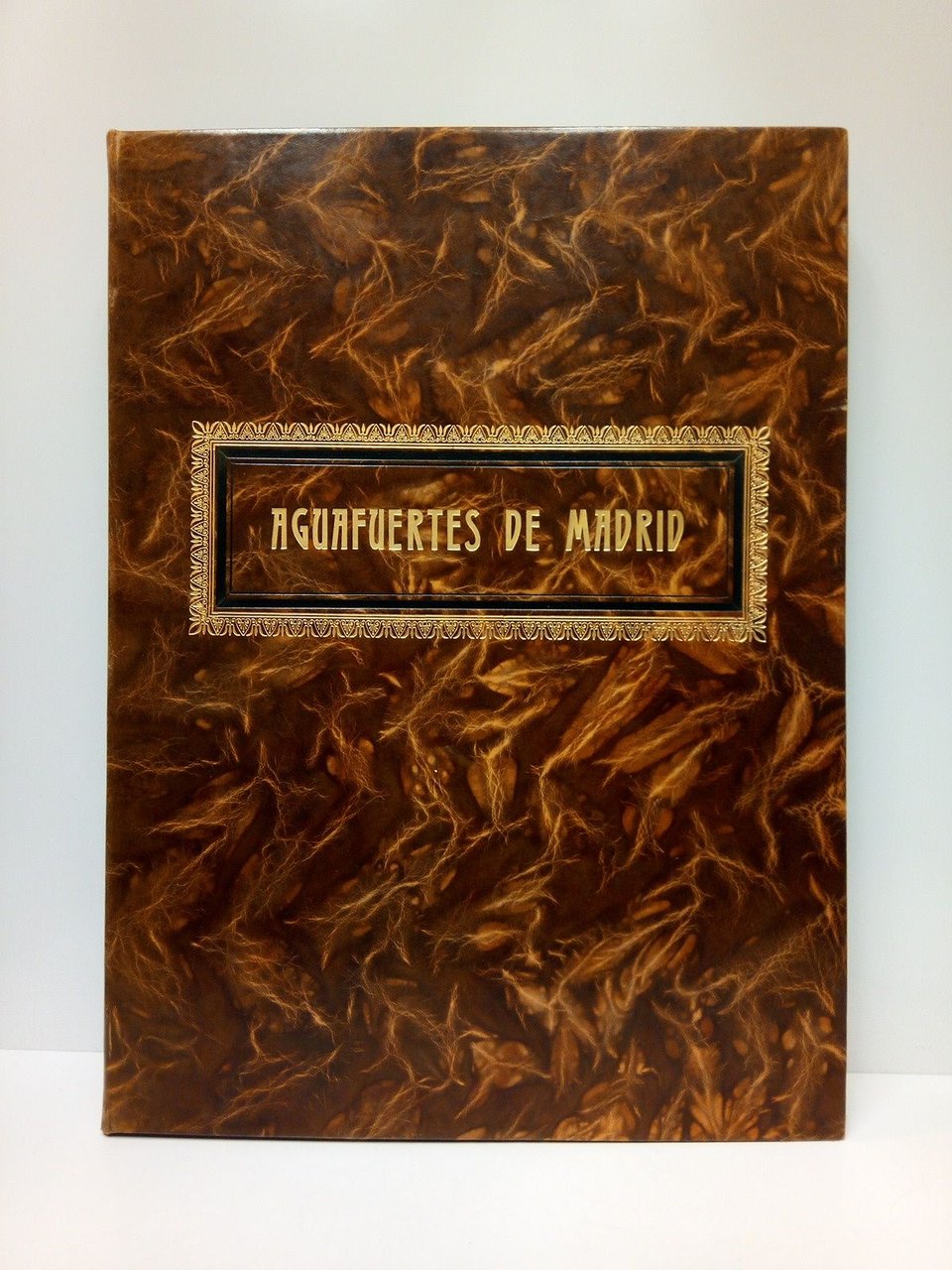 Aguafuertes de Madrid [Título tomado de la cubierta]