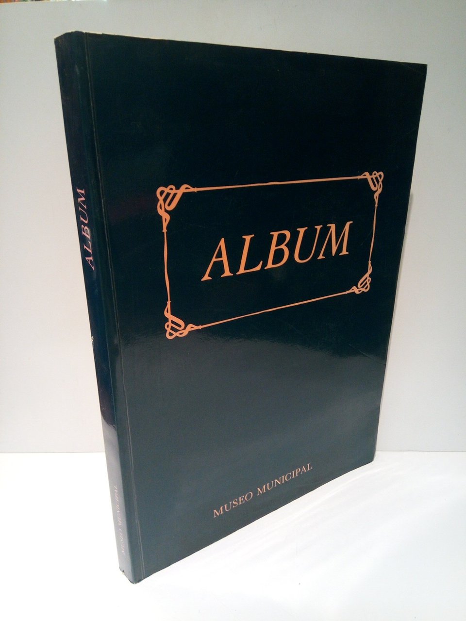 Album [del Mueso Municipal de Madrid] | Immagine principale