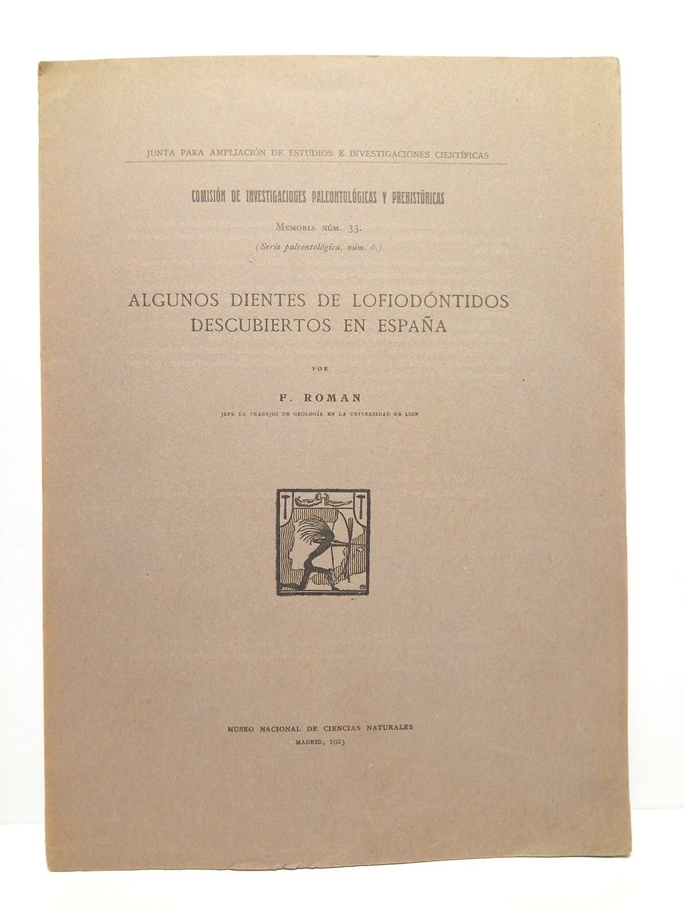 Algunos dientes de lofiodóntidos descubiertos en España