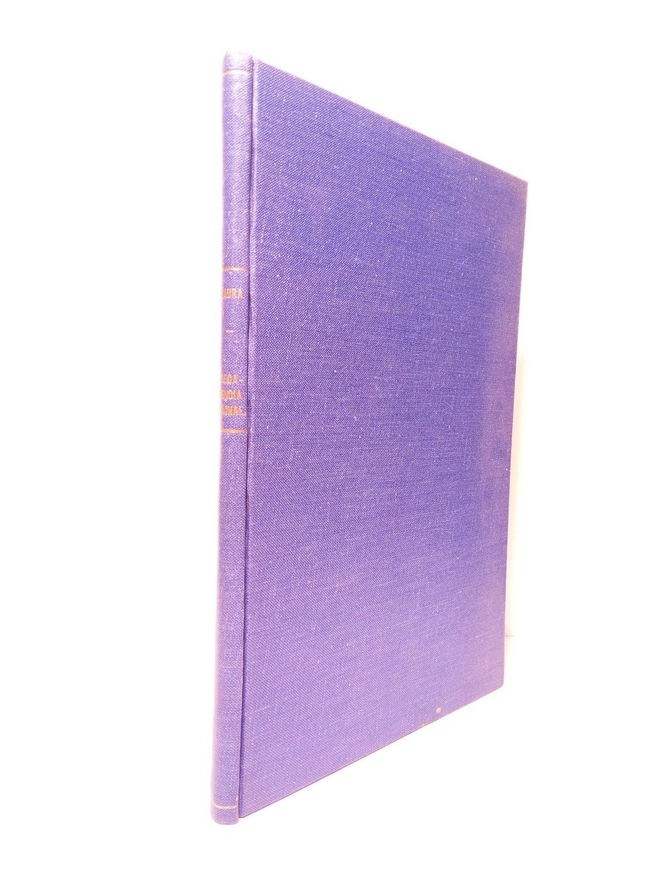 Algunos testimonios literarios e históricos contra la falsa tesis de … | Immagine principale