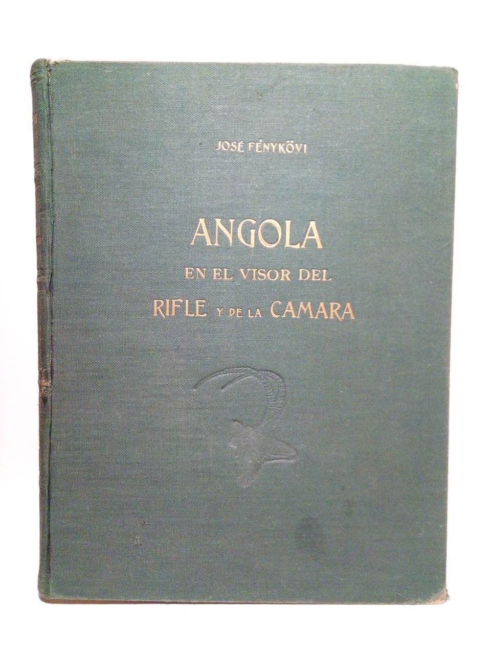 Angola en el visor del rifle y de la cámara … | Immagine principale