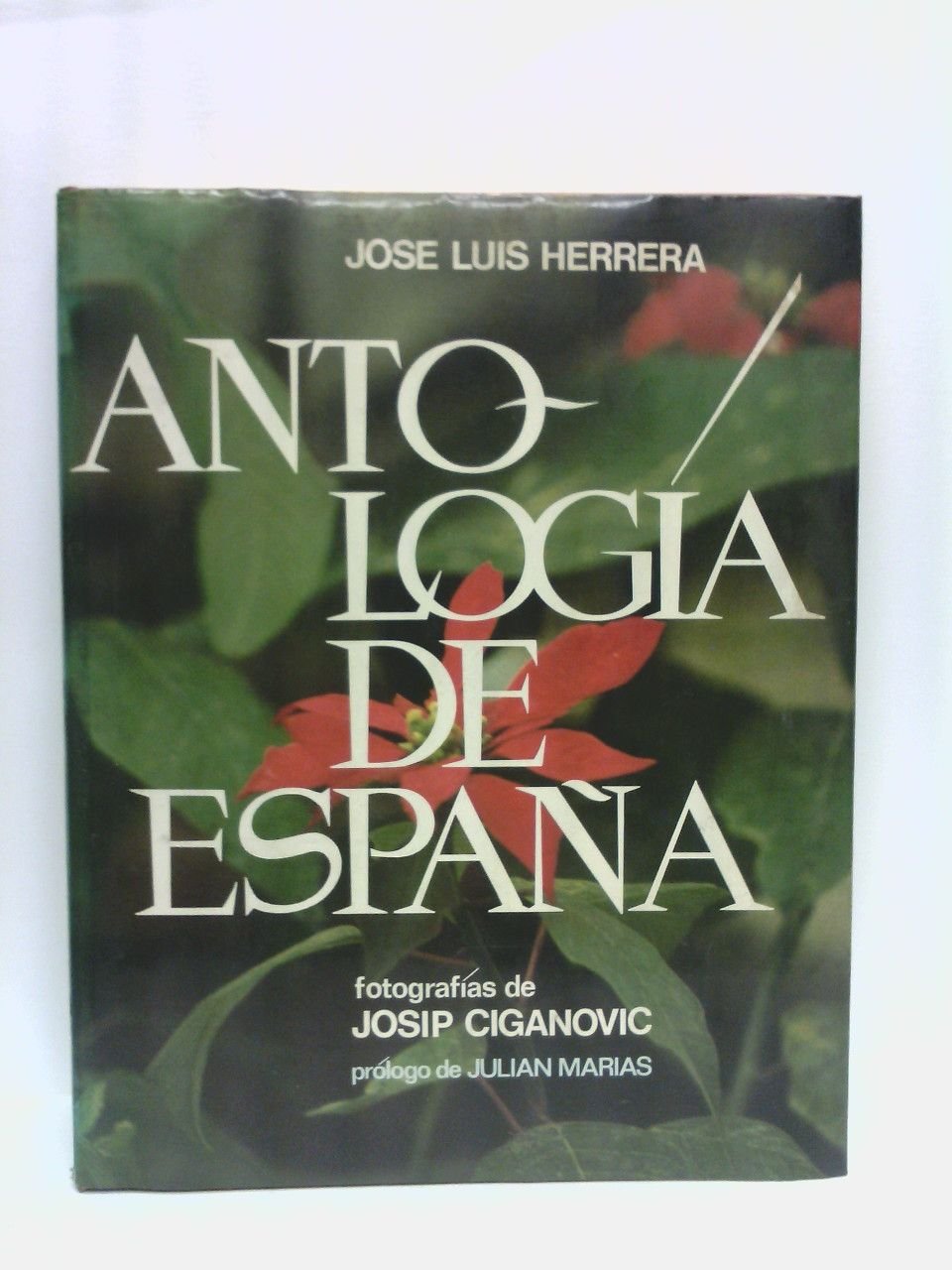 Antología de España / Prólog de Julián Marías; Fotografías de … | Immagine principale