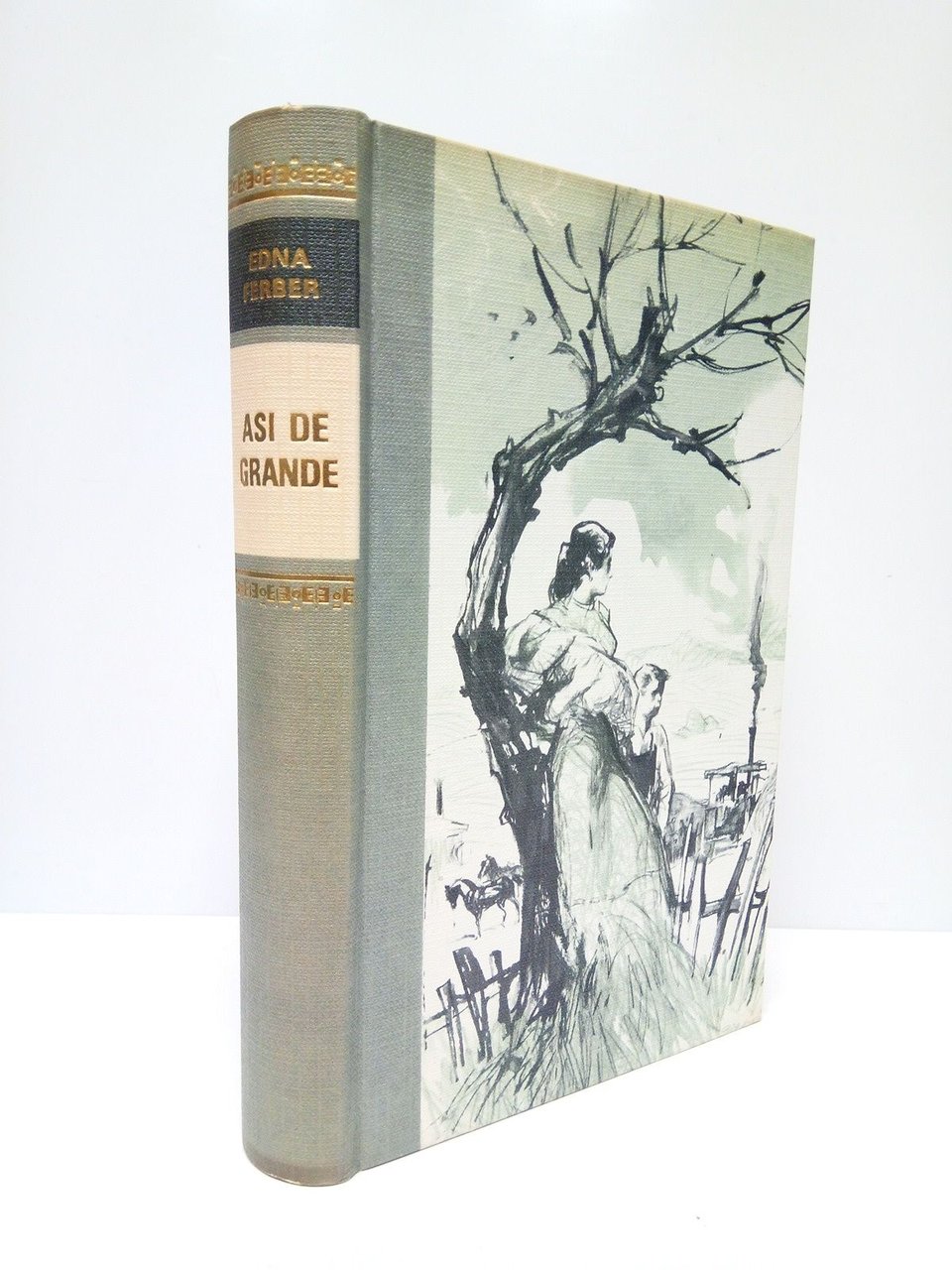 Así de grande. (Novela. Título del original en inglés: "So … | Immagine principale