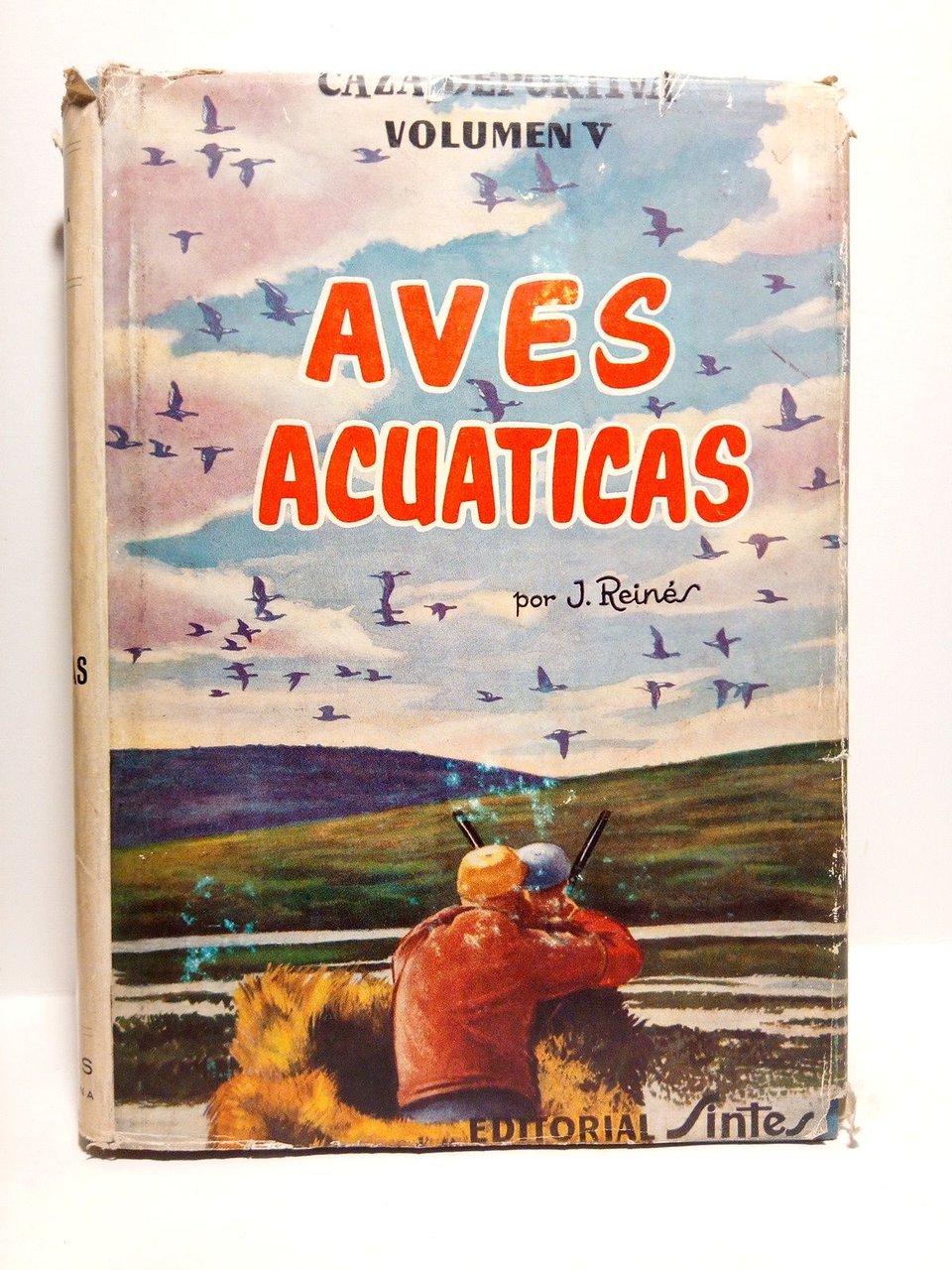 Aves acuáticas
