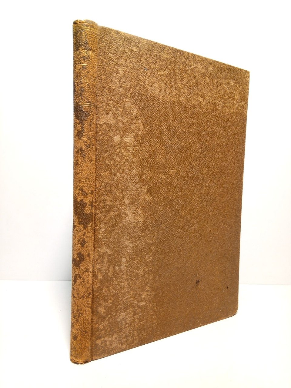 Ayala: Estudio político. (Premiado por el Congreso de los Diputados)